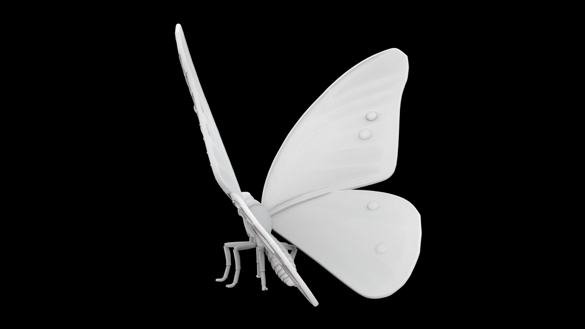 Butterfly 3D Print Model Detailed 3D model https://p.turbosquid.com/ts-thumb/SI/NHcrbn/Co/butterfly.3/jpg/1753281782/1920x1080/fit_q87/d3017466fe1aa31cb3c6dadf9e564fa5fd945ed0/butterfly.3.jpg