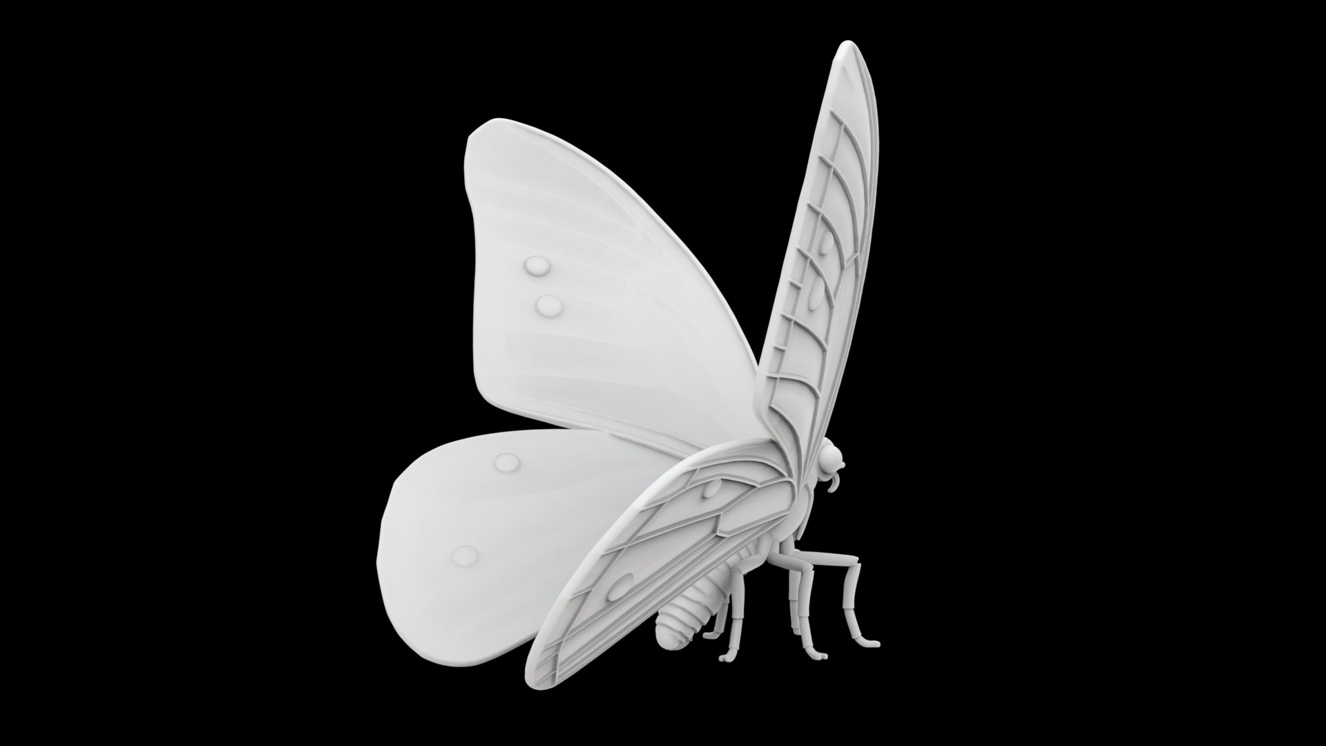 Butterfly 3D Print Model Detailed 3D model https://p.turbosquid.com/ts-thumb/SI/NHcrbn/as/butterfly.4/jpg/1753281780/1920x1080/fit_q87/8b887f05c9b49ad51a140eb3d6f356d703d7008e/butterfly.4.jpg