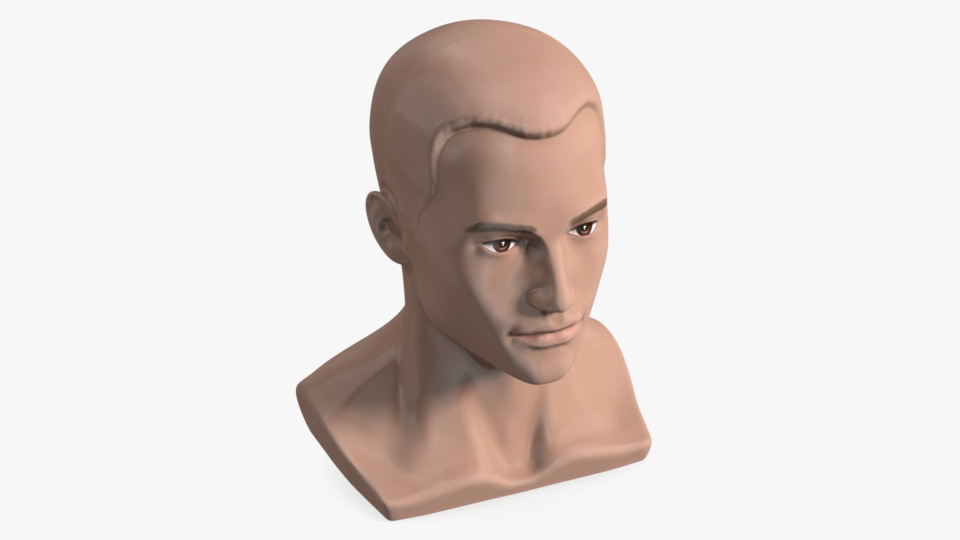 Plastic Male Mannequin Head with Hair 3D model preview