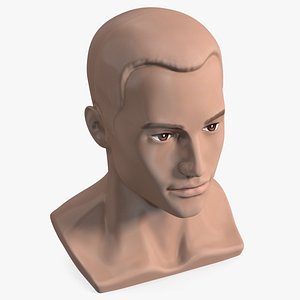 Plastic Male Mannequin Head with Hair