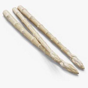 Fresh White Asparagus Spears