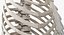 Female Ribcage Skeleton with Respiratory System