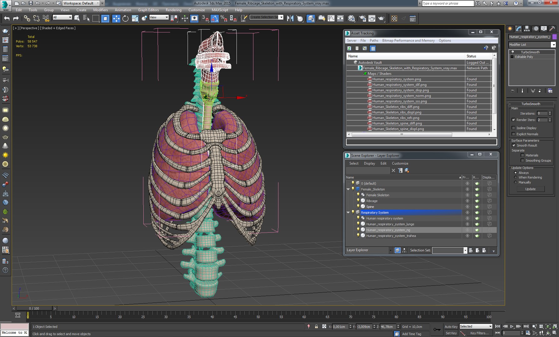 3D female ribcage skeleton respiratory https://p.turbosquid.com/ts-thumb/SI/YdkRqN/swAVRQcx/female_ribcage_skeleton_with_respiratory_system_0012/jpg/1506989075/1920x1080/fit_q87/01f85f31acbde0a1fedcbfa7f834c1a9e29f6d01/female_ribcage_skeleton_with_respiratory_system_0012.jpg