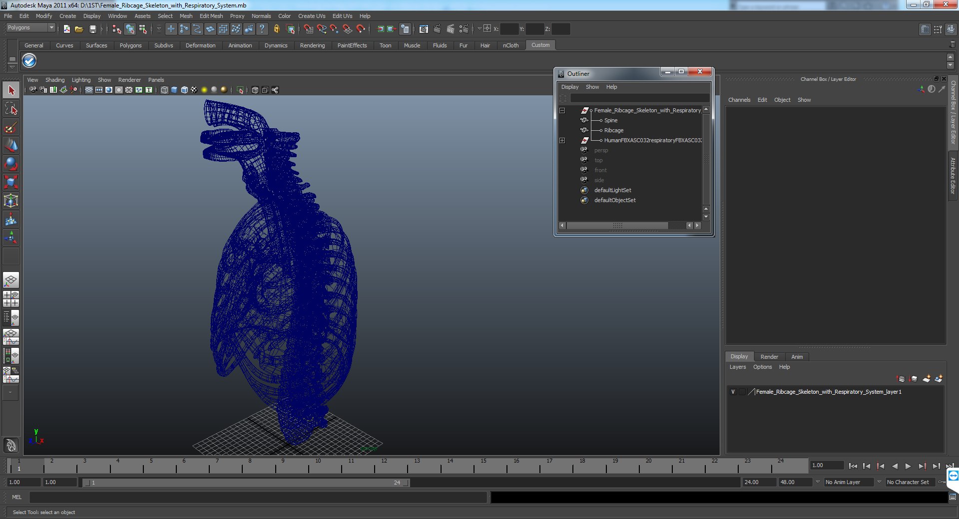 3D female ribcage skeleton respiratory https://p.turbosquid.com/ts-thumb/SI/YdkRqN/wXKeTjwt/female_ribcage_skeleton_with_respiratory_system_1002/jpg/1506989071/1920x1080/fit_q87/1fdd4304026217ff3e38d2b805451e584a31758f/female_ribcage_skeleton_with_respiratory_system_1002.jpg