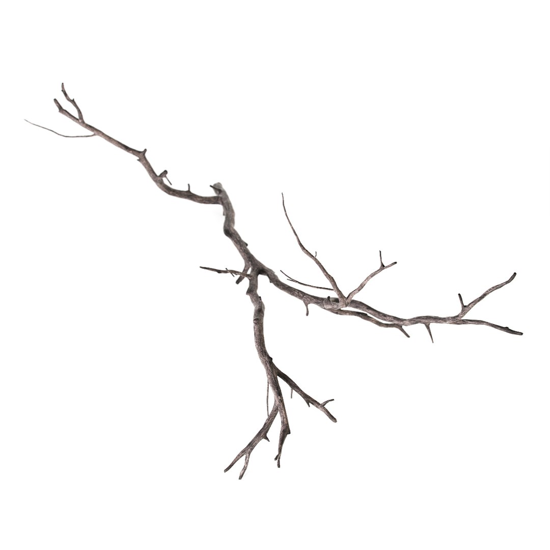 Branch Decoration 3d Model