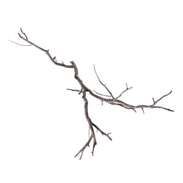 branch decoration 3d model