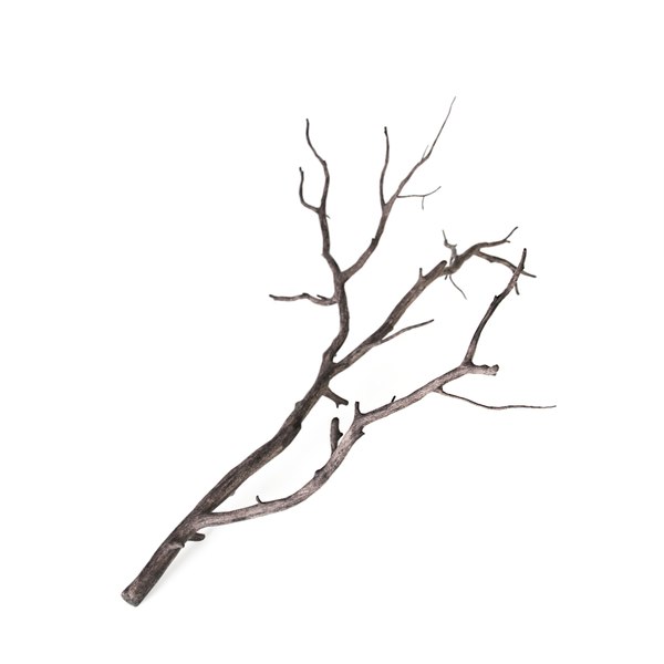 branch decoration 3d model