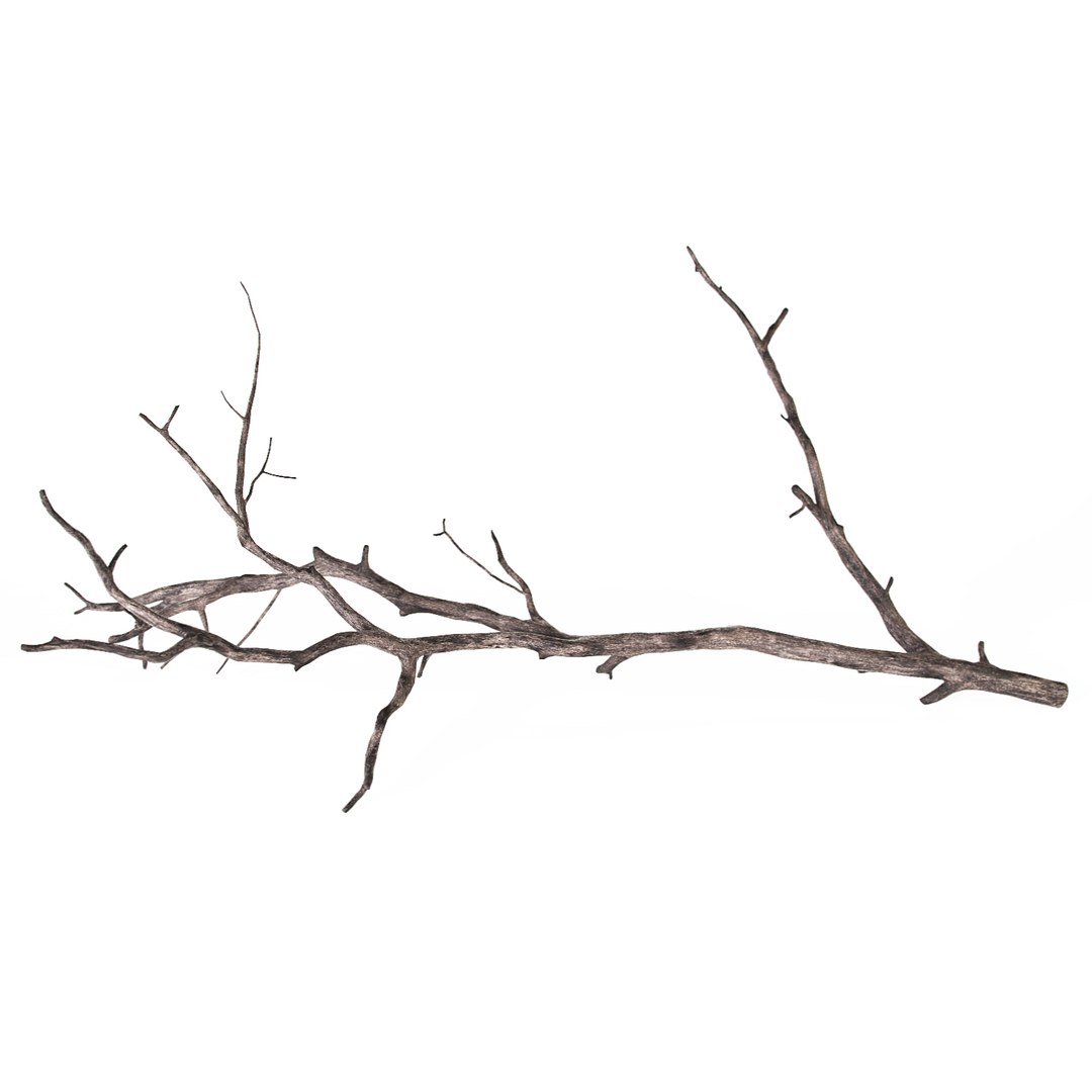 Branch Decoration 3d Model