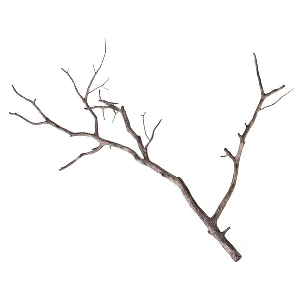 branch decoration 3d model