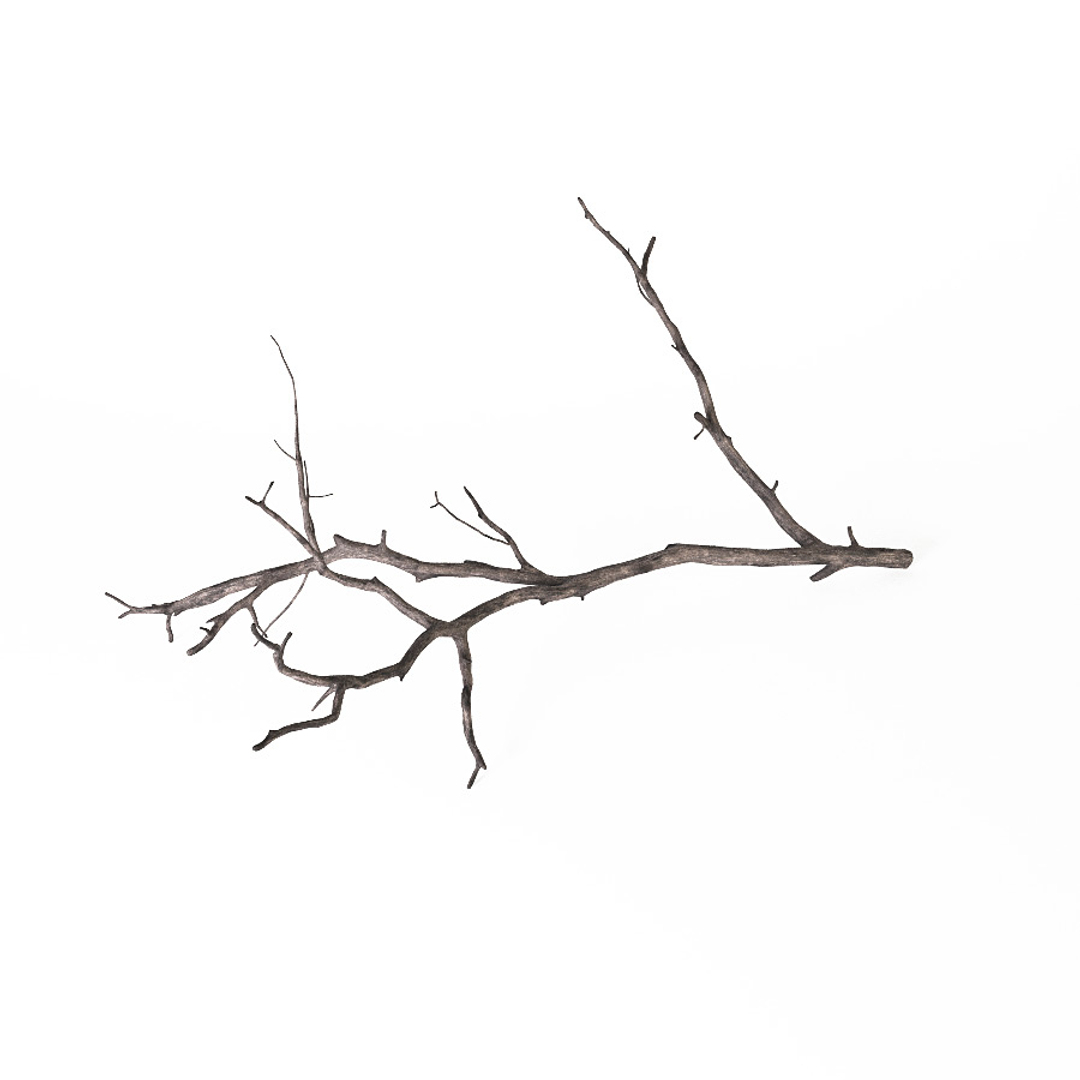 Branch Decoration 3d Model