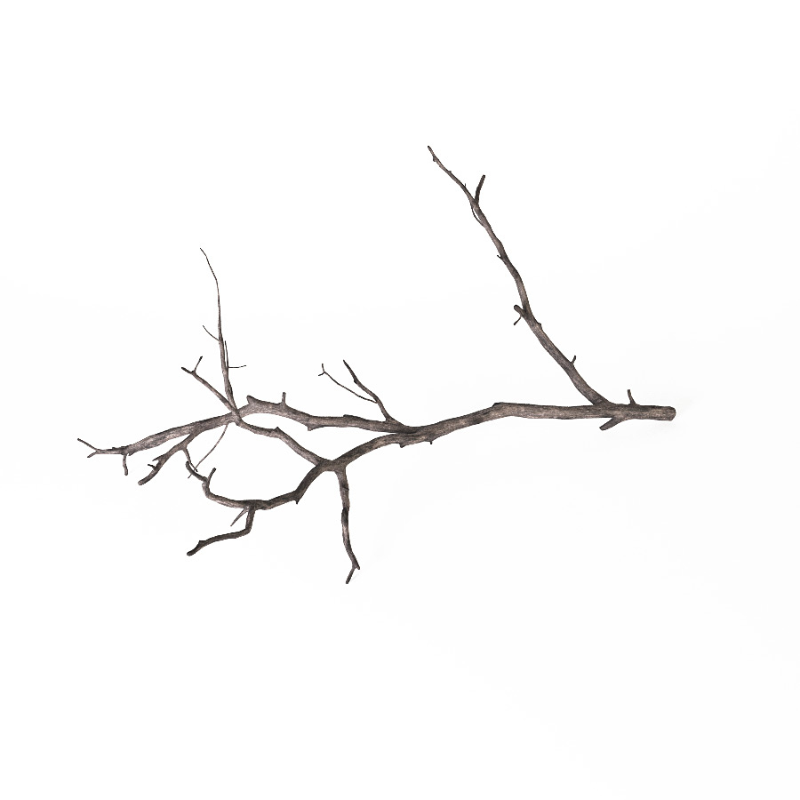 branch decoration 3d model