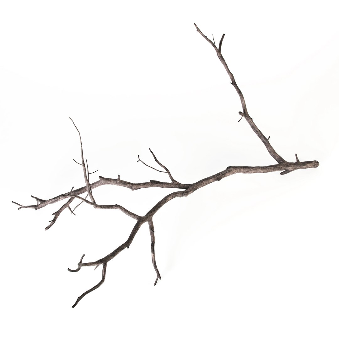 Branch Decoration 3d Model