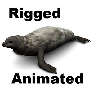 sea lion 3d model