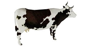 3D cow