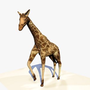 giraffe standing animation 3d c4d