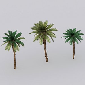 Low-poly palm tree