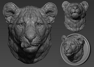 3D Lion cub head model