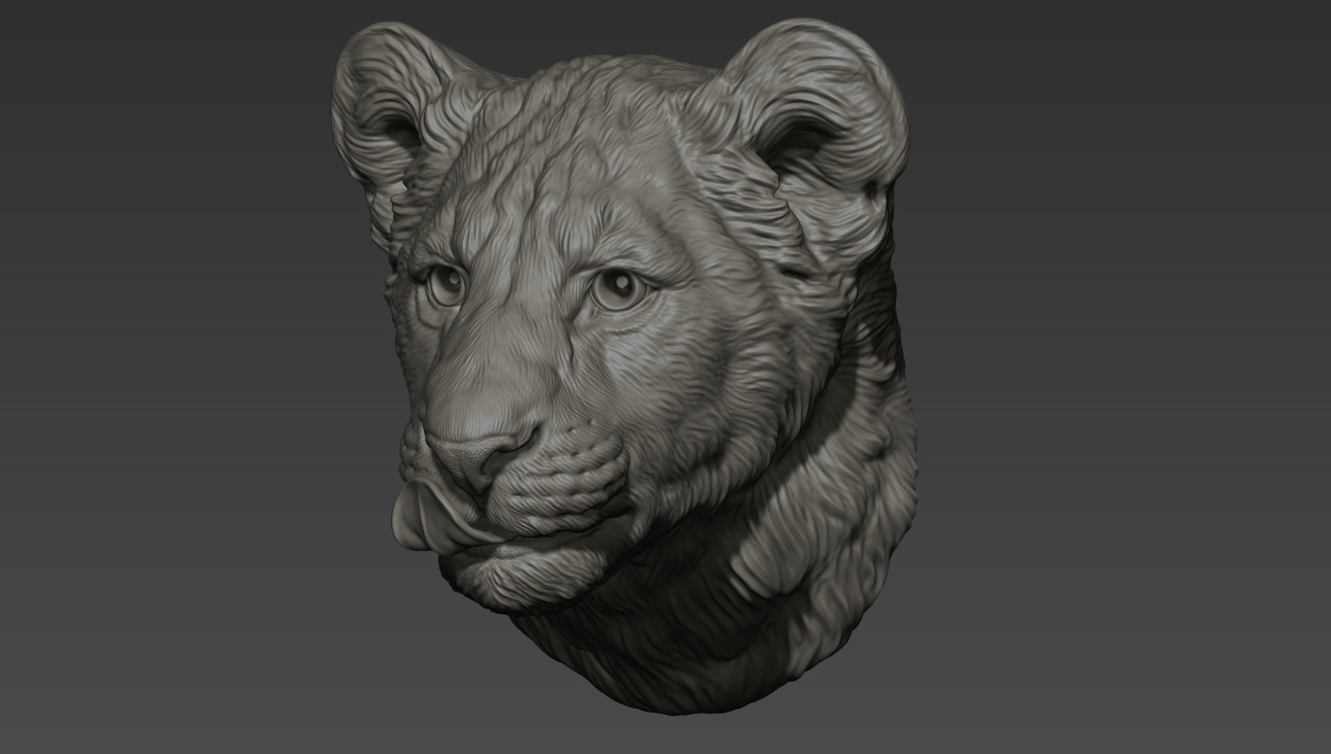 3D Lion cub head model - TurboSquid 1811370