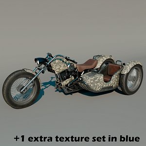 Motorcycle with sidecar