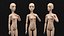 Nude Barbie Doll