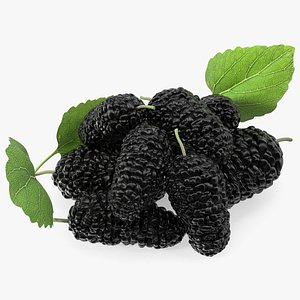 Pile of Mulberry Fruit Black 3D