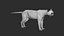 Margay Cat Primary Forms Zbrush Sculpt 3D model