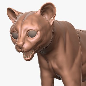 Margay Cat Primary Forms Zbrush Sculpt 3D model