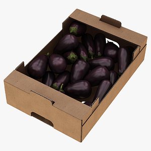 fruit cardboard box eggplant 3D model