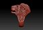 Lion Ring