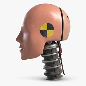 3D crash test dummy robot head