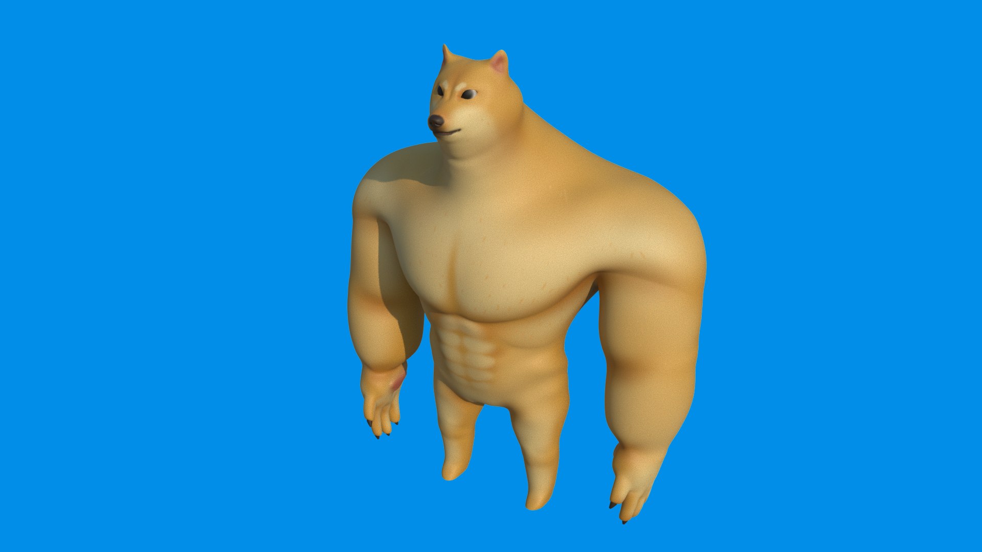 Modelo Doge Sigma Muskel Doge 🐶