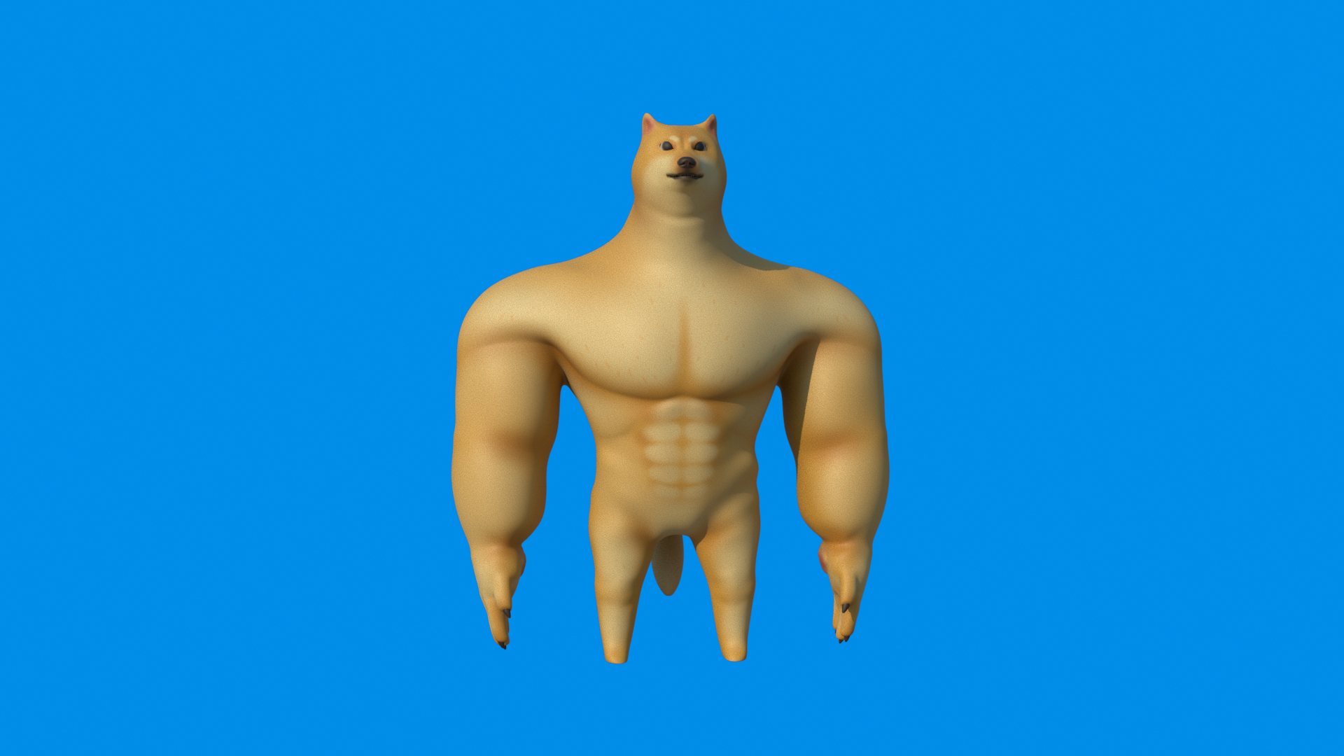 3D DOGE Model - TurboSquid 1742337