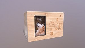 Pet Box 3D