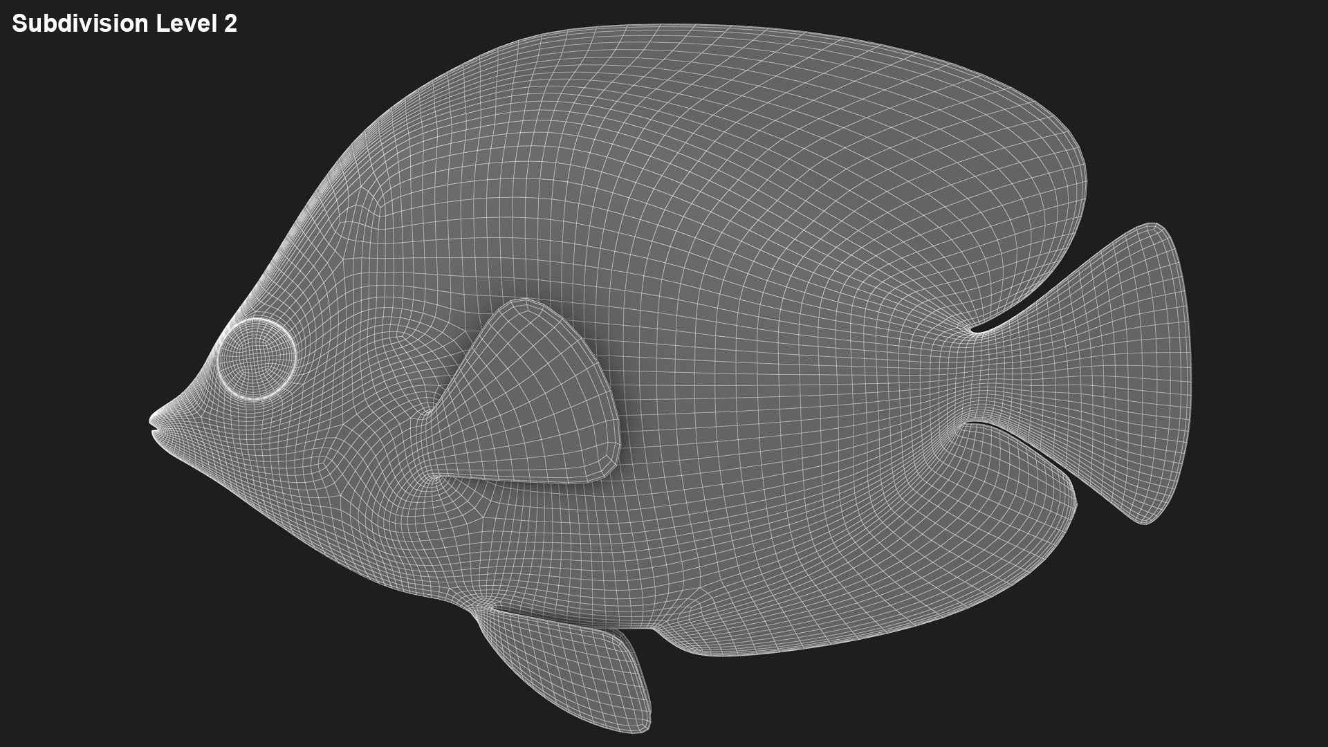Bluecheek Butterflyfish Animation 3D Model - TurboSquid 1503196