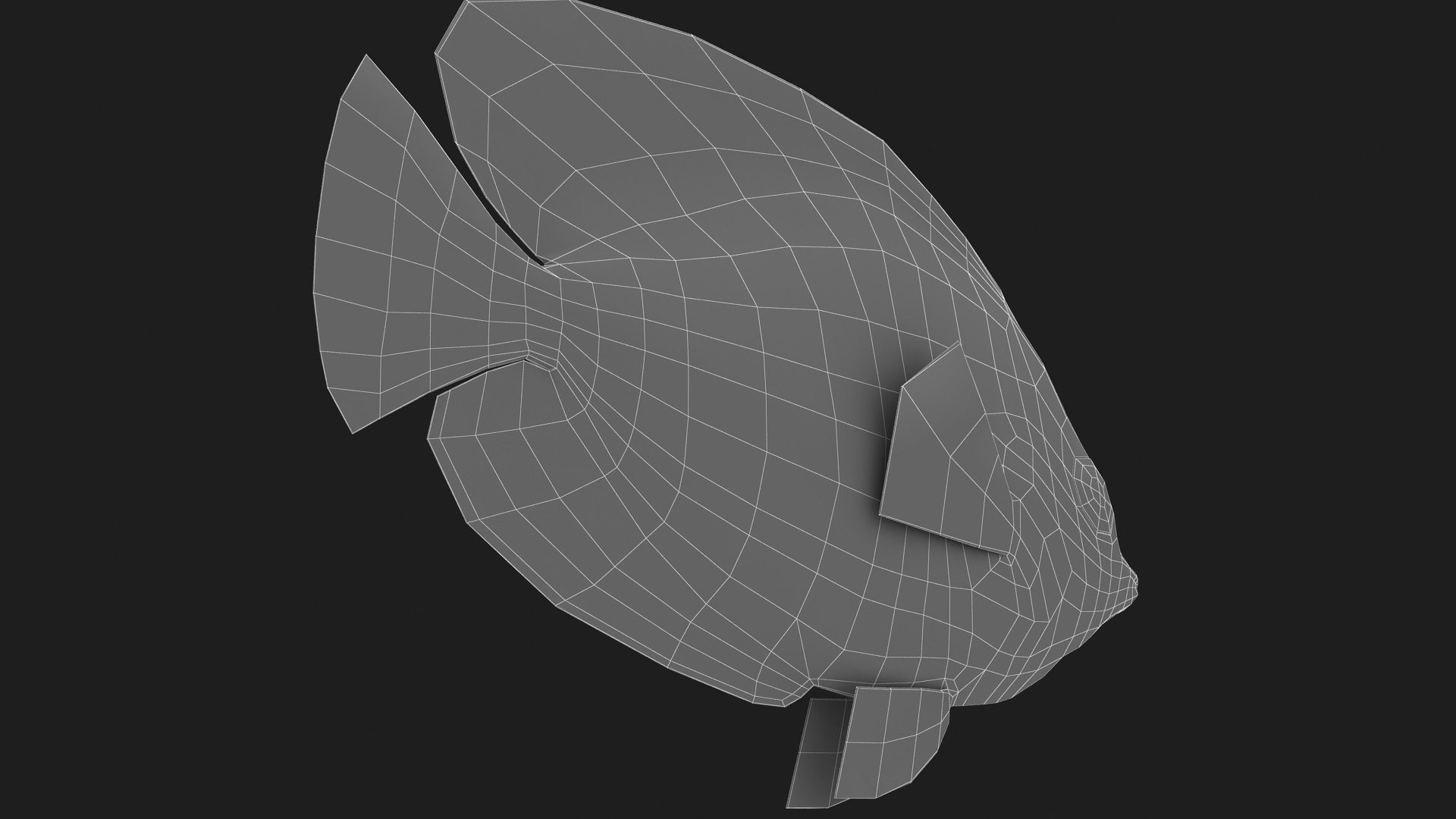 Bluecheek Butterflyfish Animation 3D Model - TurboSquid 1503196