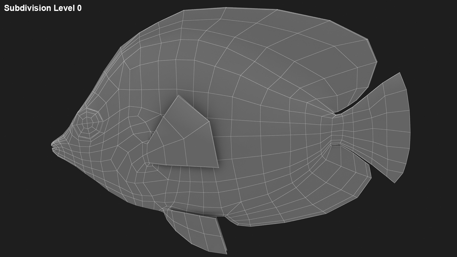 Bluecheek Butterflyfish Animation 3D Model - TurboSquid 1503196