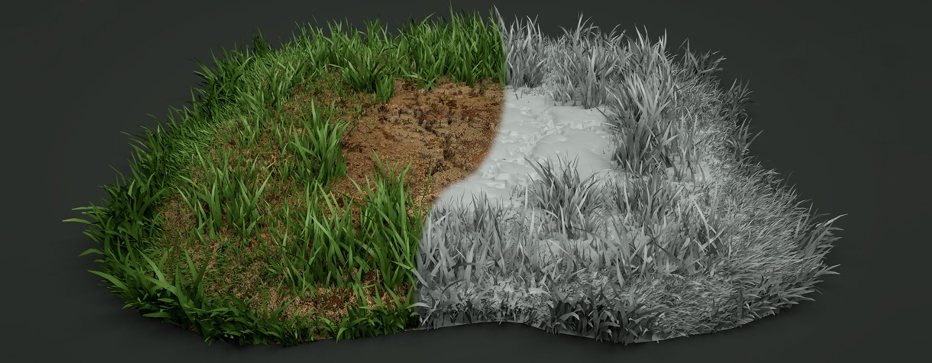 lawn grass plant 3D model https://p.turbosquid.com/ts-thumb/SK/ZHDoBc/tS8TImVP/e2d08b64efdfa256d4ab098a2357660e/jpg/1562657245/1920x1080/fit_q87/84a9465e894c56694721a8cd0fb936d51e58ff16/e2d08b64efdfa256d4ab098a2357660e.jpg