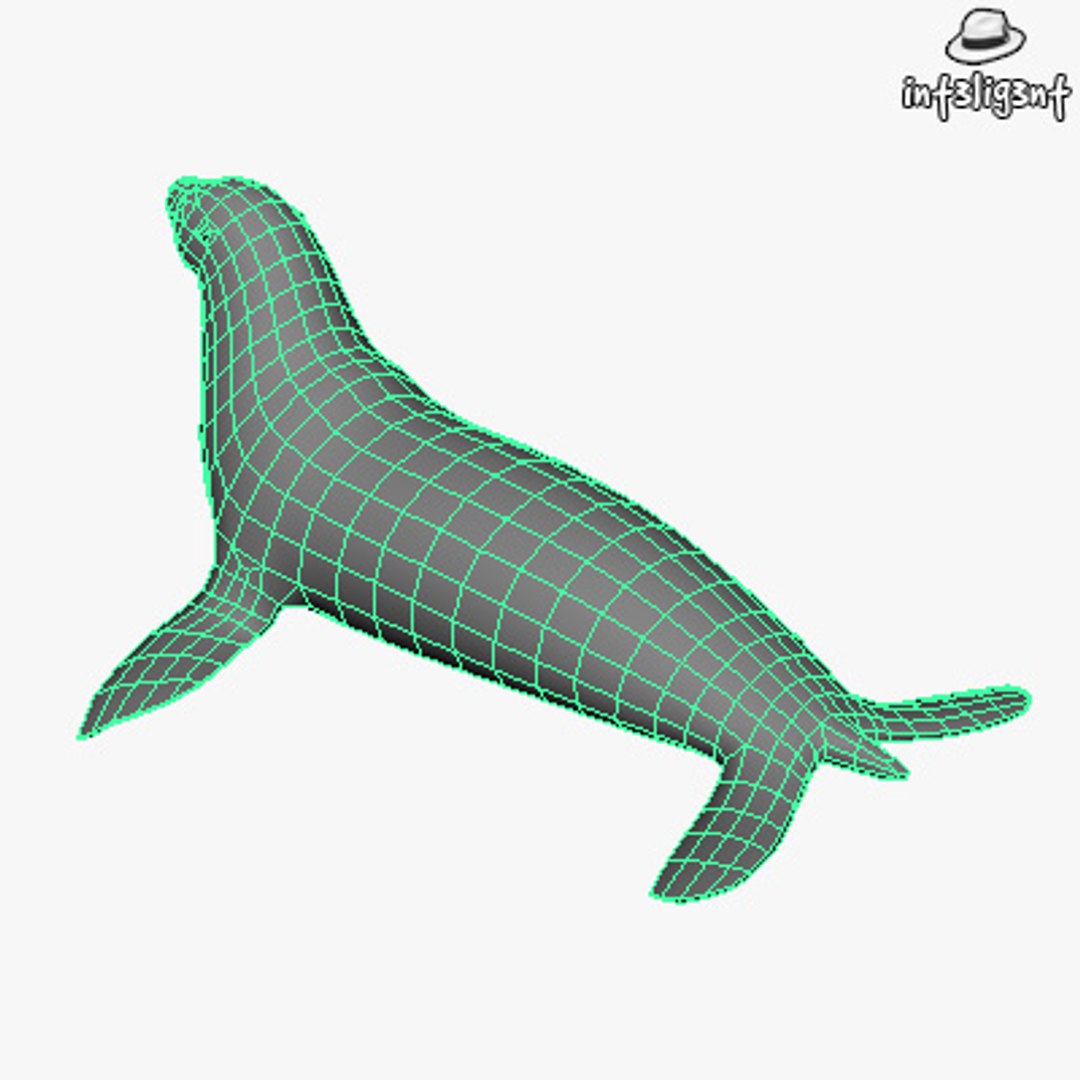 obj edge https://p.turbosquid.com/ts-thumb/SK/dSFkat/aSsi6yBf/sea_lion06/jpg/1398197041/1920x1080/fit_q87/cc836afc71728ceb99e6e8a2b041bf61fc04f13f/sea_lion06.jpg
