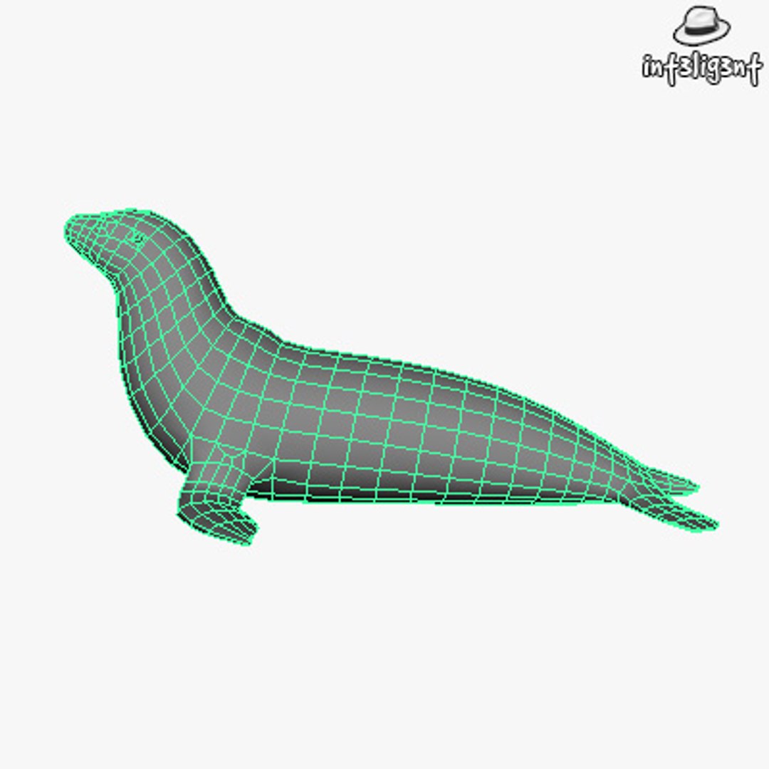 obj edge https://p.turbosquid.com/ts-thumb/SK/dSFkat/m3twQlaF/sea_lion05/jpg/1398197041/1920x1080/fit_q87/86b619b9eae7a1c9a78b13be411e0d42d3b5c2a6/sea_lion05.jpg