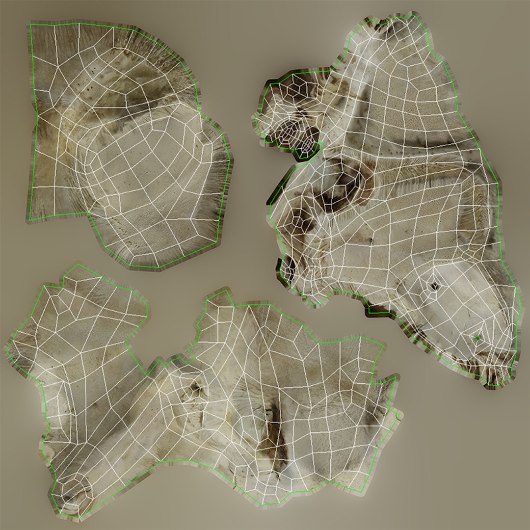 3D Domestic Pig Skull https://p.turbosquid.com/ts-thumb/SK/hL38D6/75/1615uvimagefrontalparietaltemporal/png/1621056496/1920x1080/fit_q87/dbae616872b086569fa05336d0ac692e0b409d40/1615uvimagefrontalparietaltemporal.jpg