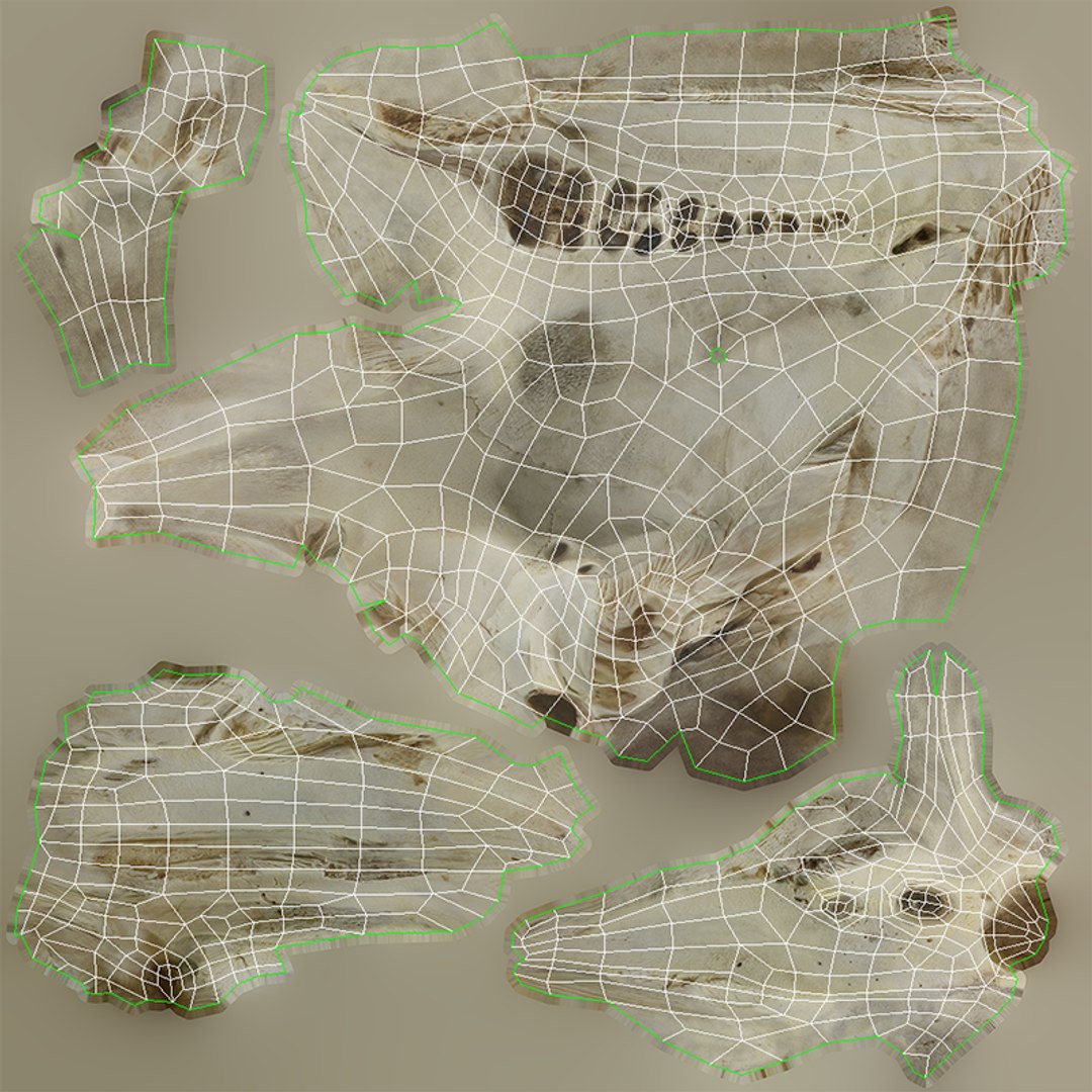 3D Domestic Pig Skull https://p.turbosquid.com/ts-thumb/SK/hL38D6/G1/1817uvimagenasalincisivemaxillazygomatic/png/1621056498/1920x1080/fit_q87/799d52a4adb721ba65861cef581f2f74549ee867/1817uvimagenasalincisivemaxillazygomatic.jpg