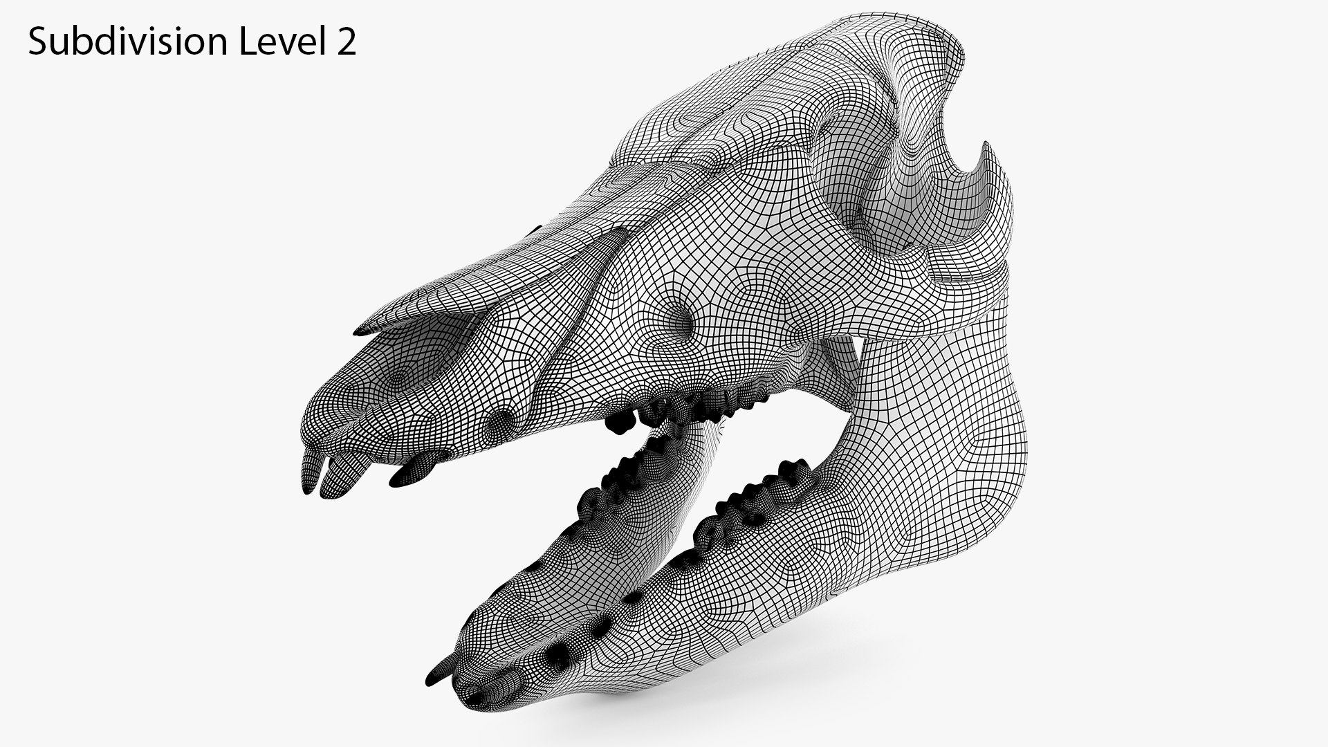 3D Domestic Pig Skull https://p.turbosquid.com/ts-thumb/SK/hL38D6/HS/1010wireframesearchimagesubd2/png/1620981171/1920x1080/fit_q87/71e84fc47258f34b646dce3c52d1584085e5430b/1010wireframesearchimagesubd2.jpg