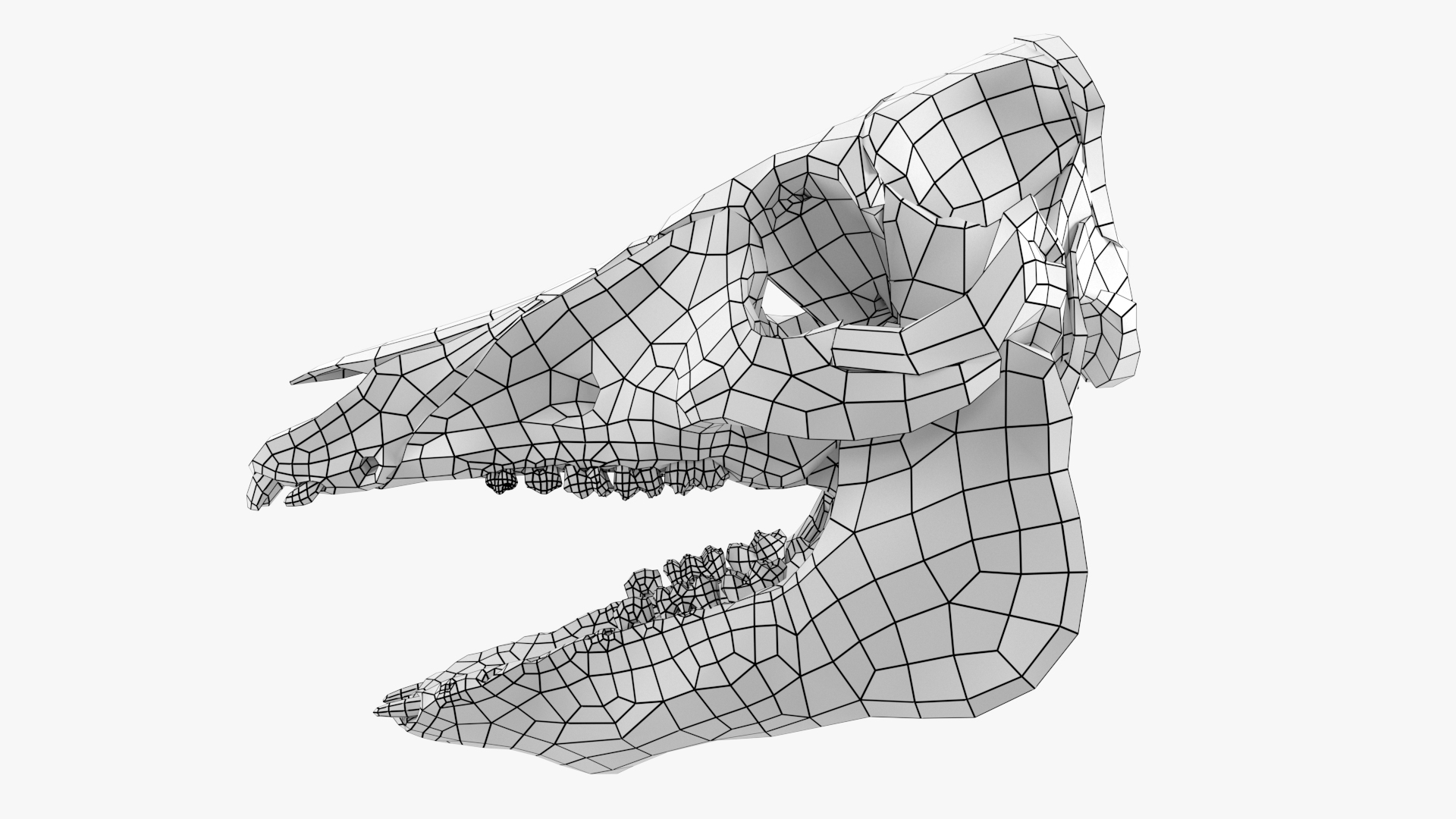 3D Domestic Pig Skull https://p.turbosquid.com/ts-thumb/SK/hL38D6/Mp/verticalwireframe/png/1620981950/1920x1080/turn_fit_q99/fede45609888131642307aa996ef0bd62fdf5652/verticalwireframe-1.jpg