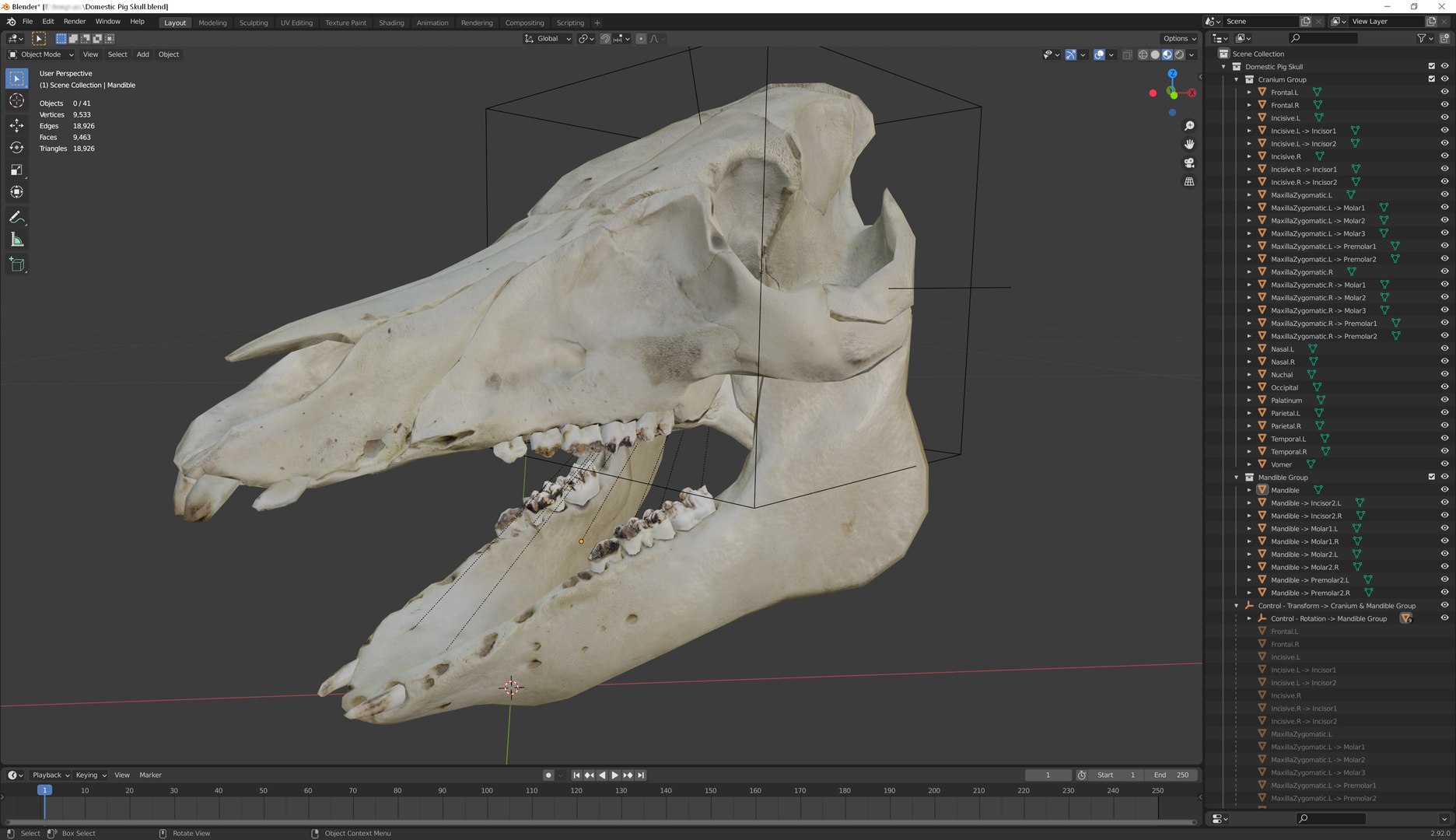 3D Domestic Pig Skull https://p.turbosquid.com/ts-thumb/SK/hL38D6/TX/21blenderui/png/1620981190/1920x1080/fit_q87/4d6409326f3e753caa48c773a22a4d5d5c9b6bb7/21blenderui.jpg