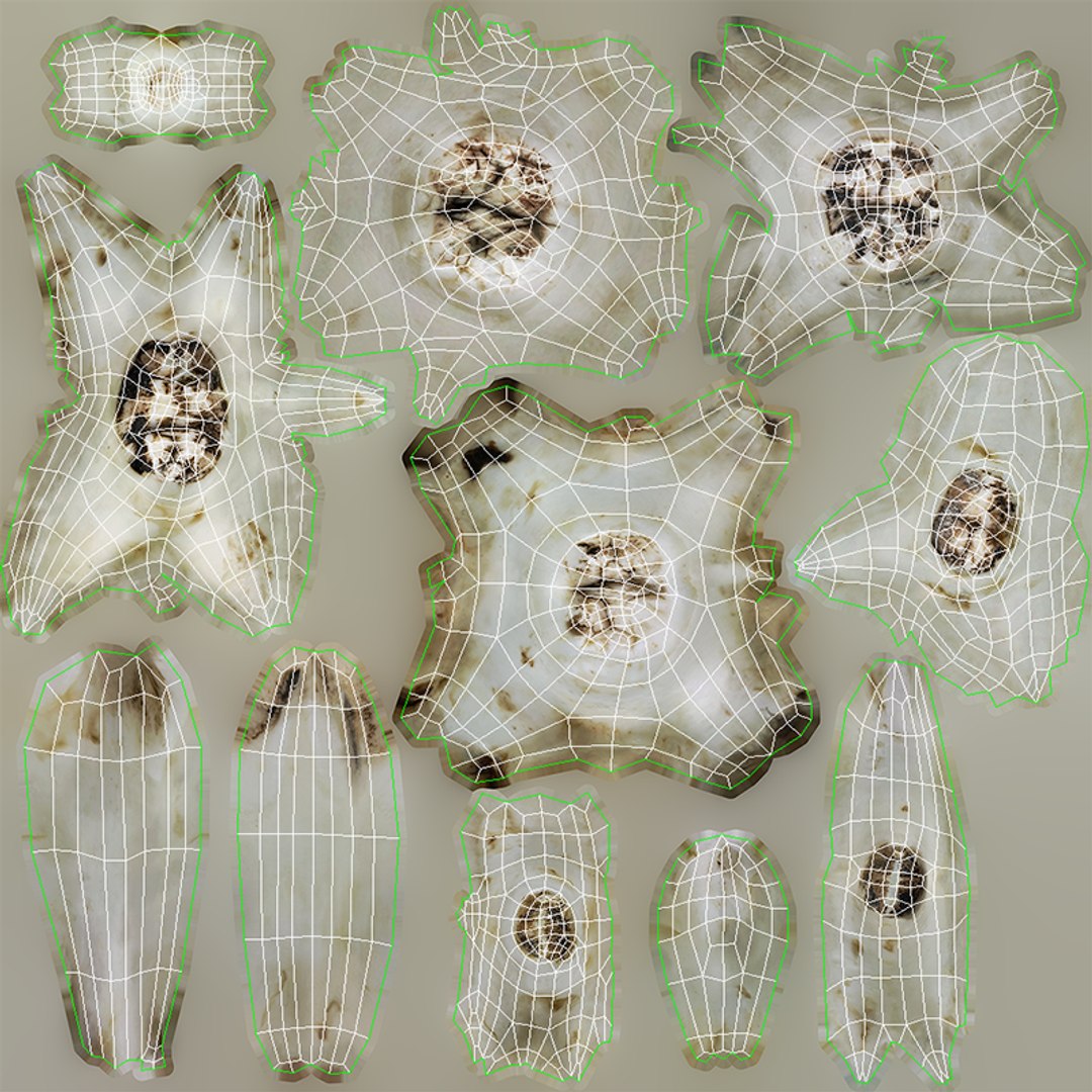 3D Domestic Pig Skull https://p.turbosquid.com/ts-thumb/SK/hL38D6/g0/1514uvimageallteeth/png/1621056497/1920x1080/fit_q87/9302688f9cd5090c6e1bae1119e5b55c1900481d/1514uvimageallteeth.jpg