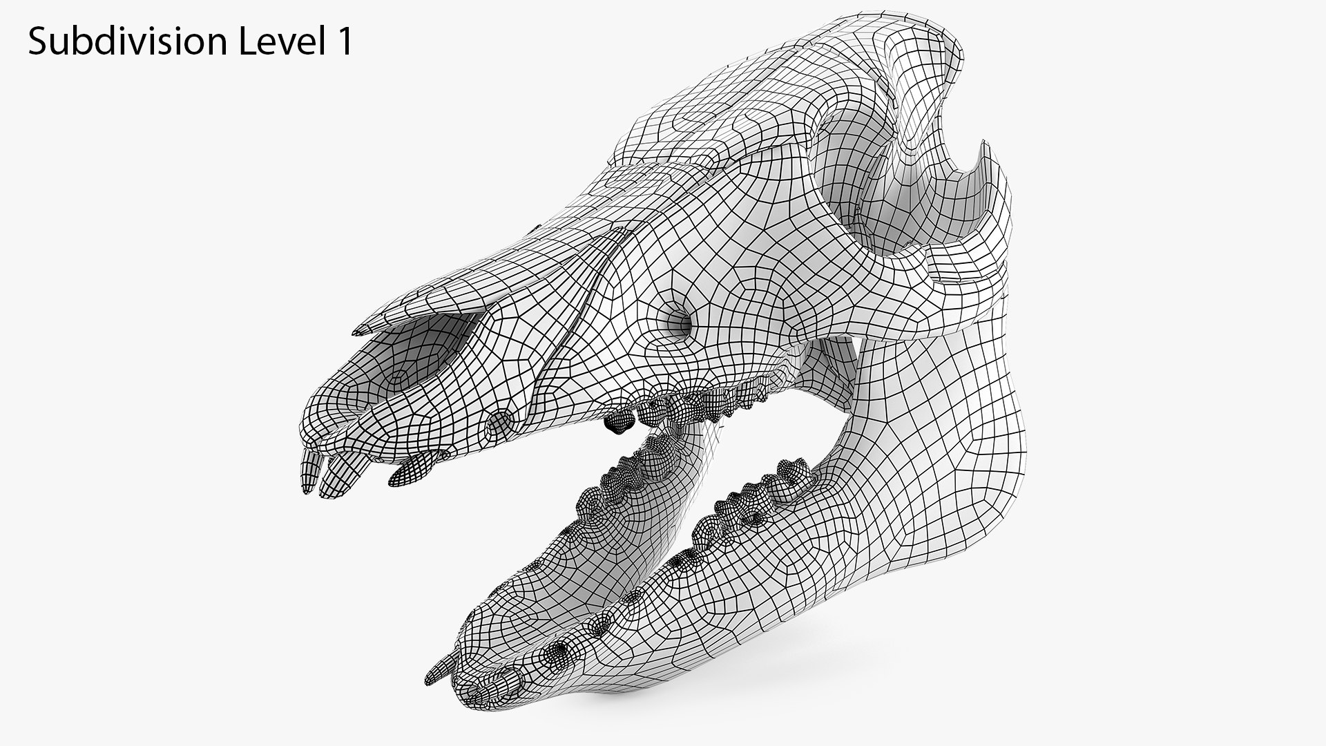3D Domestic Pig Skull https://p.turbosquid.com/ts-thumb/SK/hL38D6/pM/910wireframesearchimagesubd1/png/1620981175/1920x1080/fit_q87/2eec46eee94e4064a769dc5a5962e68eedbbd344/910wireframesearchimagesubd1.jpg