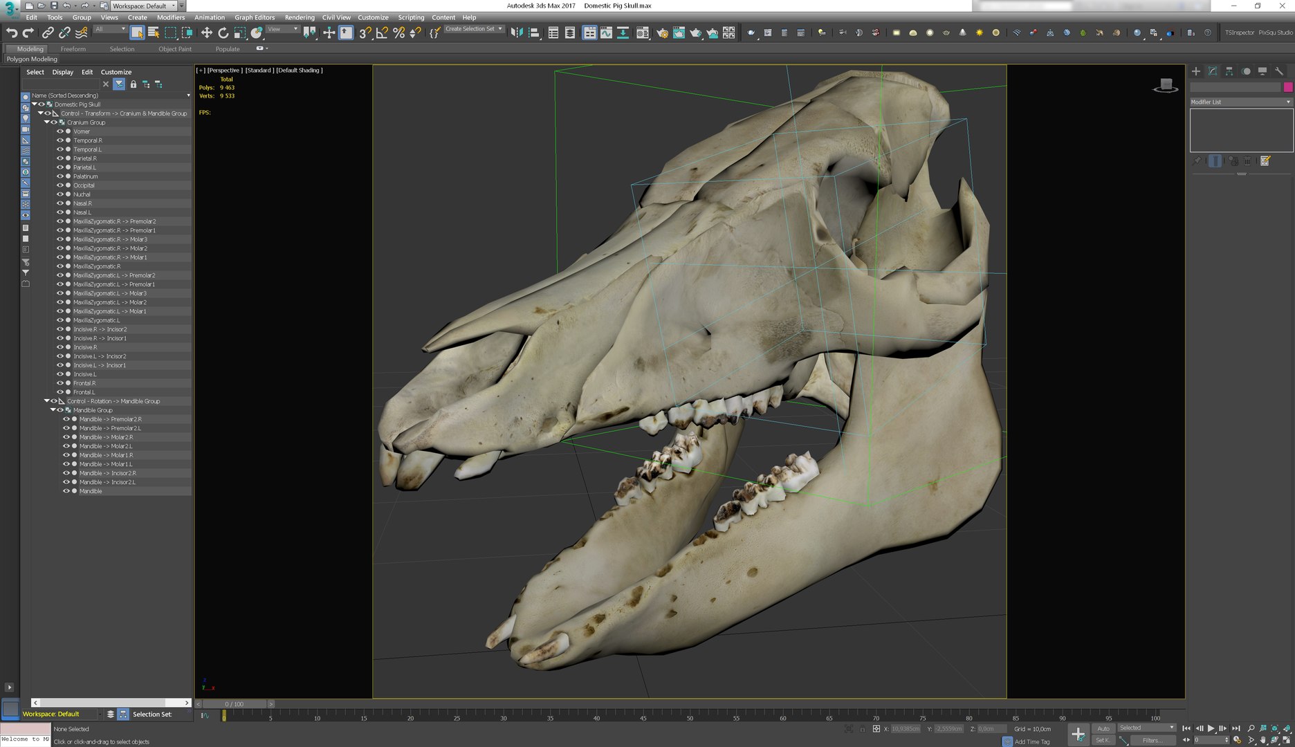 3D Domestic Pig Skull https://p.turbosquid.com/ts-thumb/SK/hL38D6/ul/203dsmaxui/png/1620981175/1920x1080/fit_q87/c7918f6206349ad815f4cb0142e52bc8a228c3ca/203dsmaxui.jpg