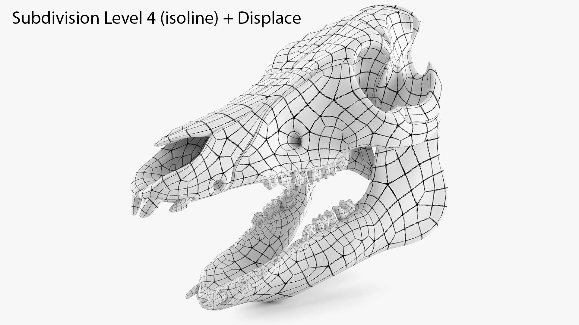 3D Domestic Pig Skull https://p.turbosquid.com/ts-thumb/SK/hL38D6/zv/1210wireframesearchimagesubd4isolinedisplace/png/1620981170/1920x1080/fit_q87/01c152a48a13923e19dce77107240ac4ad57167e/1210wireframesearchimagesubd4isolinedisplace.jpg
