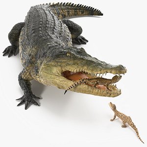 3D model Mother Crocodile Carrying Baby
