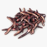 Earthworms 3